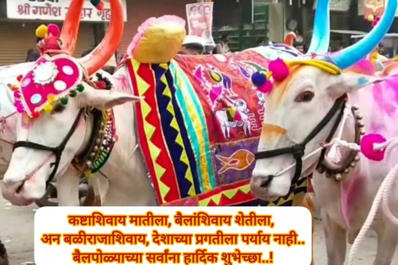 बैलपोळा सणाच्या सर्वांना हार्दिक शुभेच्छा..!